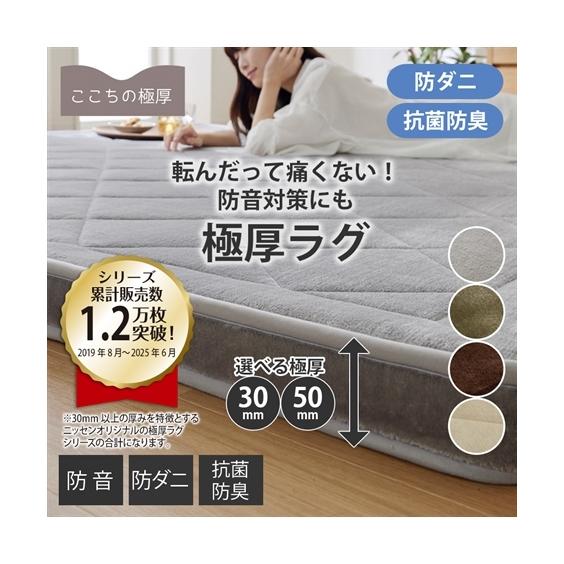 ニッセン（nissen） 単品配送 ラグ 厚みが選べる ふわふわフランネル