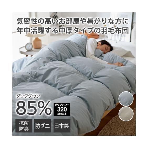 ニッセン（nissen） 寝具 掛け布団 日本製 抗菌防臭 防ダニ羽毛合掛け