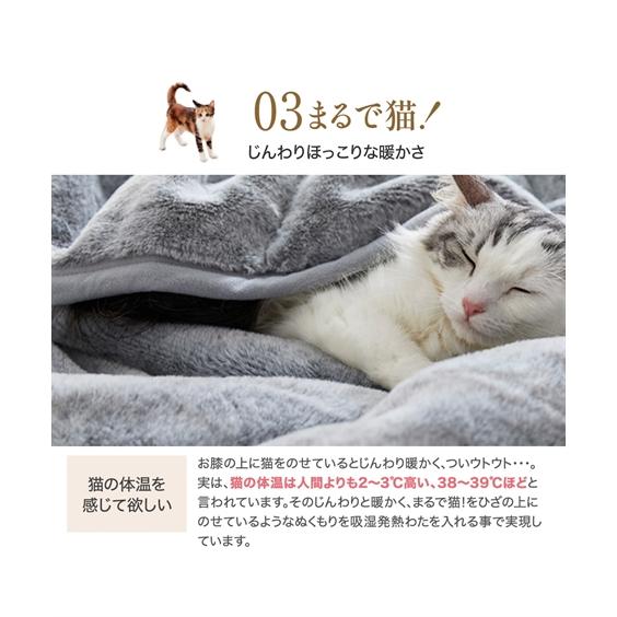 ニッセン（nissen） 猫Feel ブランケット まるで猫！のような モフモフ
