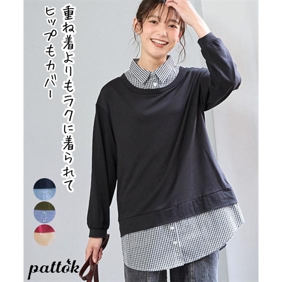 ニッセン チュニック 大きいサイズ レディース 綿混衿付重ね着風 ニッセン チュニック 大きいサイズ レディース 綿混衿付重ね着風