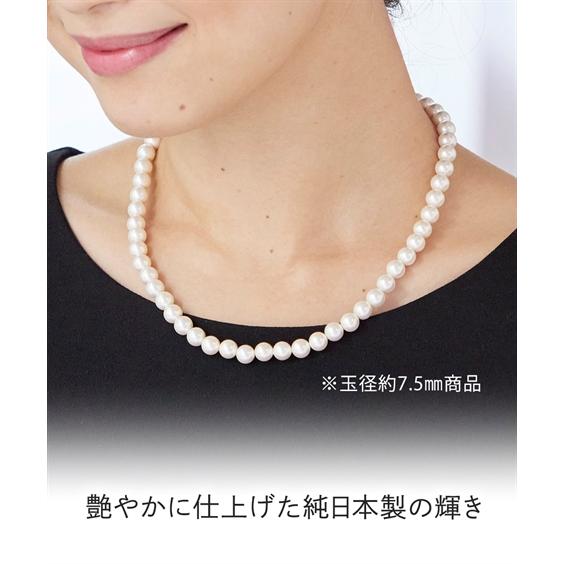 ニッセン アクセサリー セット 大きいサイズ レディース 貝 ニッセン アクセサリー セット 大きいサイズ レディース 貝