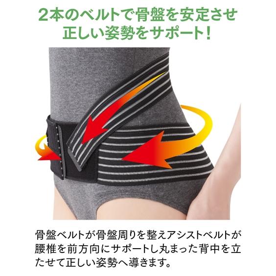 ニッセン（nissen） 接骨院の先生が監修した 骨盤 ベルト M〜L/LL〜3L