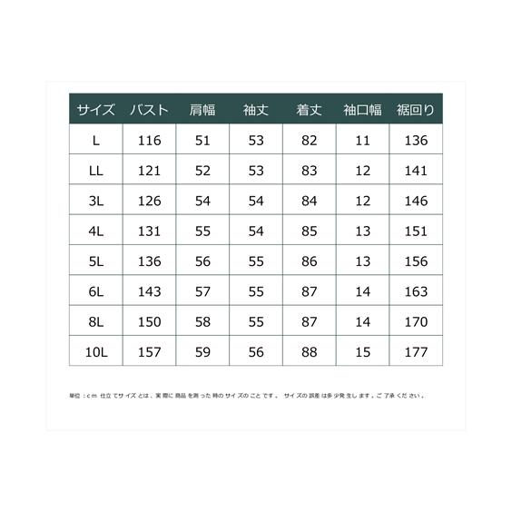 大きいサイズ レディース ボタン デザイン バンド カラー シャツ チュニック L/LL/3L/4L/5L ニッセン nissen｜nissenzai｜21