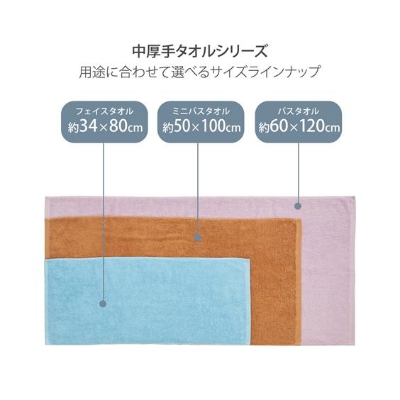 タオル フェイス Dailycolor 中厚手フェイス 同色3枚セット 約 34×80cm ニッセン nissen｜nissenzai｜22