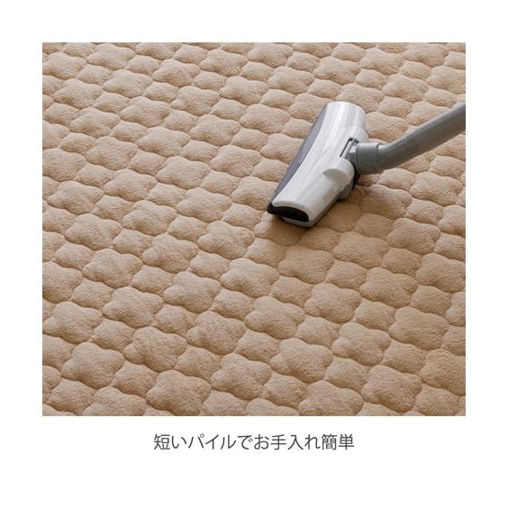 ニッセン（nissen） ラグ 洗える 綿100％ 防ダニ 抗菌防臭 タオル 地