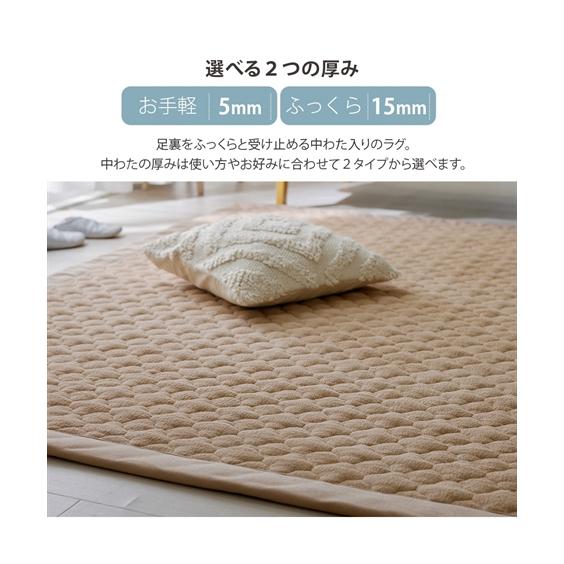 ニッセン（nissen） ラグ 洗える 綿100％ 防ダニ 抗菌防臭 タオル 地