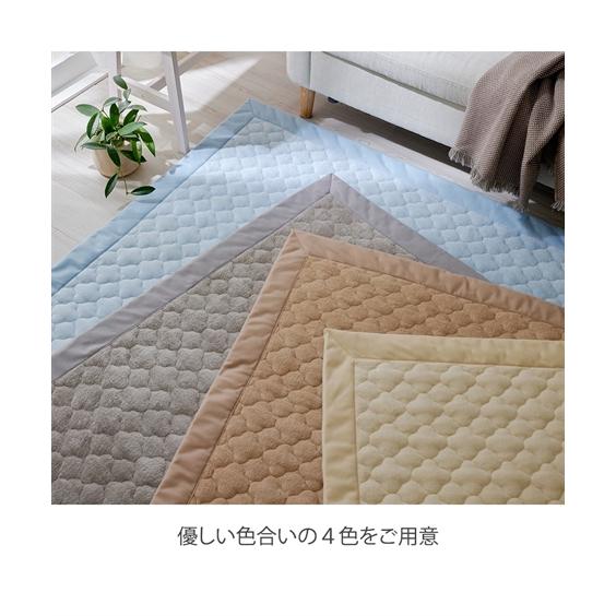 ニッセン（nissen） ラグ 洗える 綿100％ 防ダニ 抗菌防臭 タオル 地