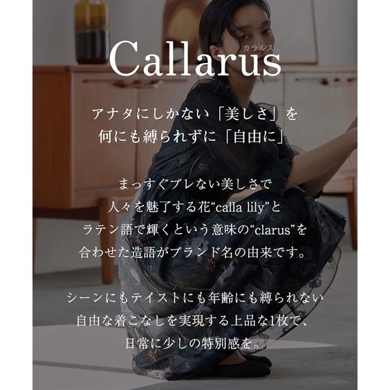 ドレス ワンピース レディース 結婚式 パーティー オケージョン Vネック 刺繍 レース ｜ 有〔Callarus〕 M/L ニッセン nissen_4