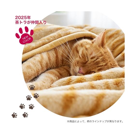 ニッセン（nissen） 掛け布団カバー シングル 猫Feel 猫フィール