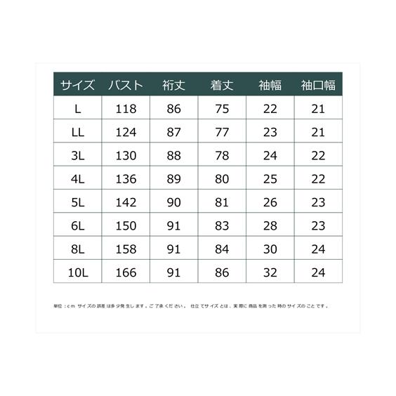 ニッセン 大きいサイズ レディース ネクタイ ネックレス 付き 綿 ニッセン 大きいサイズ レディース ネクタイ ネックレス 付き 綿