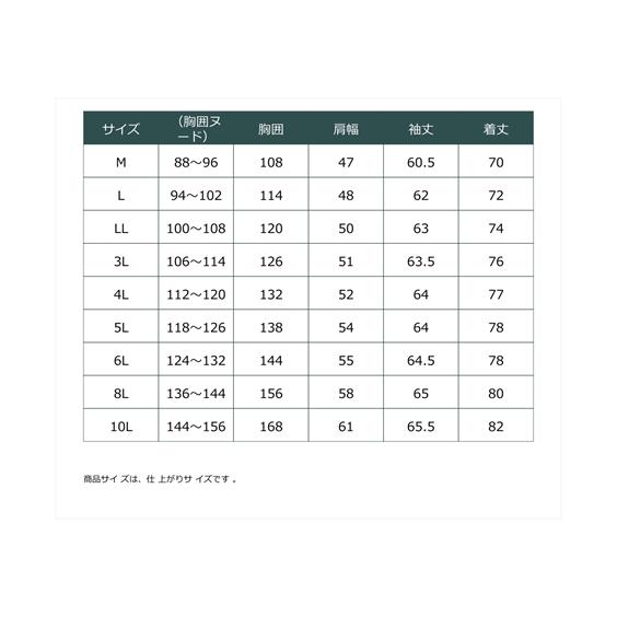 トレーナー メンズ お腹ゆったり裏起毛ボタンダウン 冬 3L〜10L ニッセン nissen｜nissenzai｜18