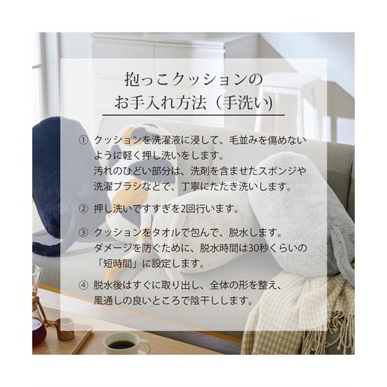 ニッセン（nissen） 福袋 2026 3点セット 猫Feel 猫フィール 猫と 
