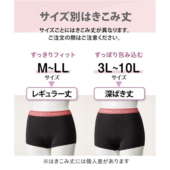 ニッセン（nissen） ショーツ スタンダード レディース ウエスト