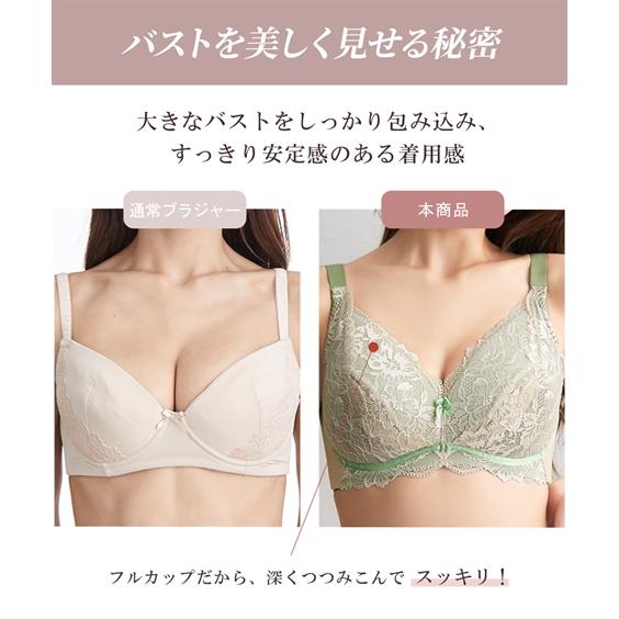 ニッセン ブラジャー 大きいサイズ レディース グラマーサイズ ニッセン ブラジャー 大きいサイズ レディース グラマーサイズ