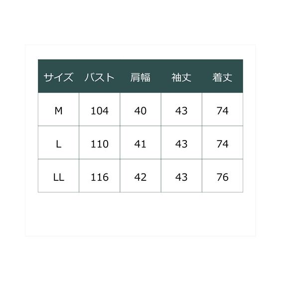 チュニック シニア ファッション シアー袖 プリント  体型カバー お尻隠れる M/L/LL ニッセン nissen｜nissenzai｜15