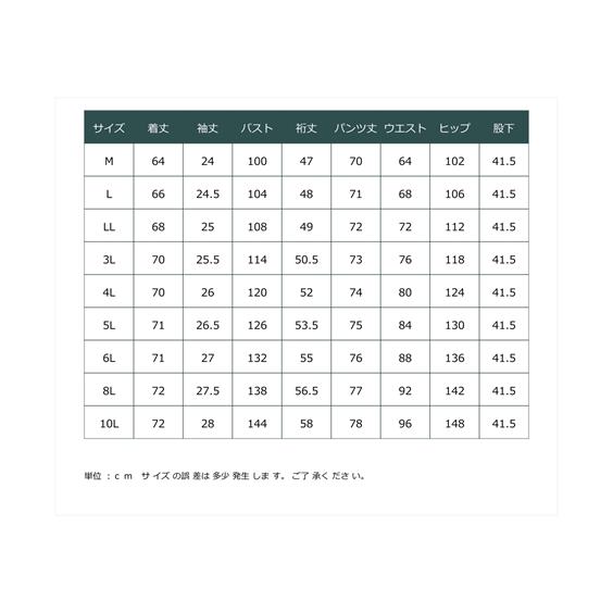 パジャマ 上下セット 大きいサイズ レディース 綿混 半袖 スポーティー ルームウェア  セットアップ 部屋着 女性 8L/10L ニッセン nissen｜nissenzai｜22