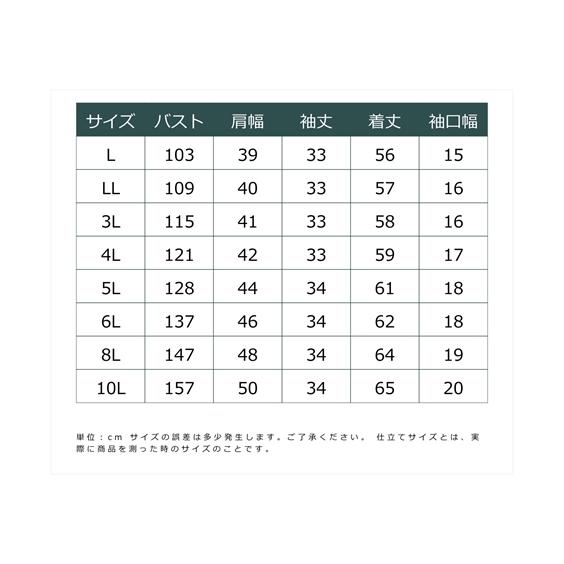 シャツ ブラウス 大きいサイズ レディース オフショル風 デザイン marun L/LL/3L/4L/5L ニッセン nissen |  | 21