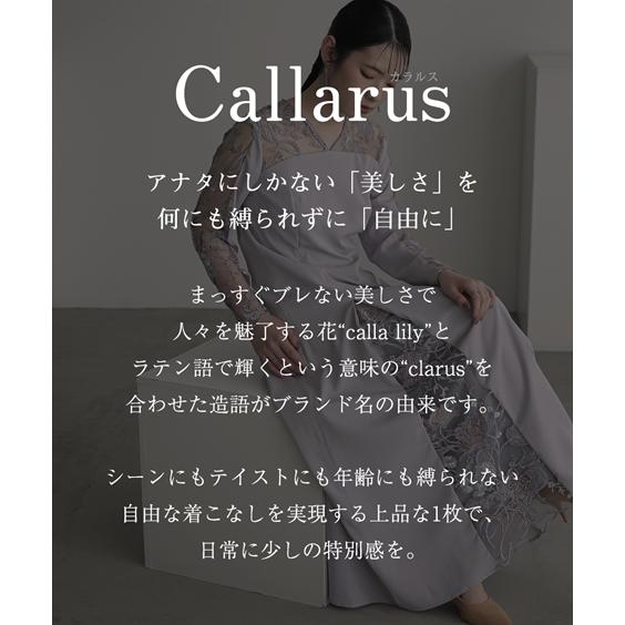 パーティドレス ワンピース レディース 結婚式 パーティー オケージョン ドレス チュール刺繍切替 デザイン 〔Callarus〕 二次会 S/M/L ニッセン nissen_3