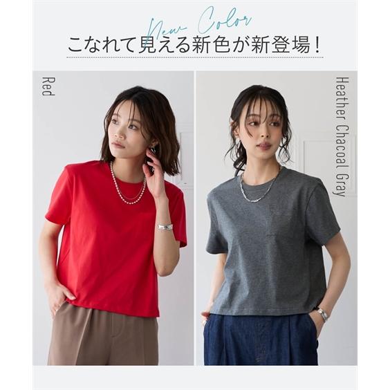 トップス レディース 綿100％ 汗染みしにくいクロップド丈Tシャツ 有