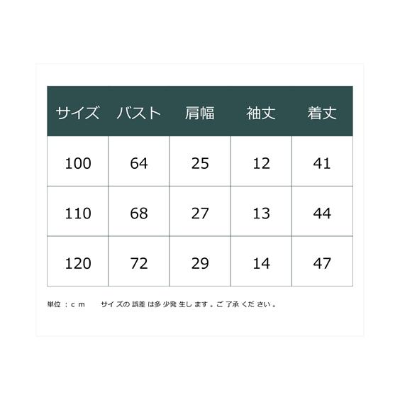 ❣️確認専用❣️ 100〜110サイズ ニッセン（nissen） Tシャツ 子供服 キッズ 仮面ライダーガヴ プリント