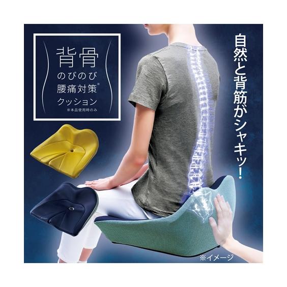 ニッセン（nissen） 背骨のびのび腰痛対策 クッション : ニッセン