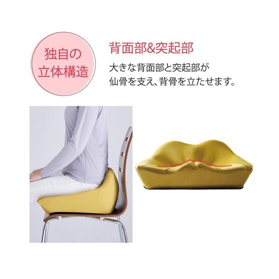 ニッセン（nissen） 背骨のびのび腰痛対策 クッション : ニッセン