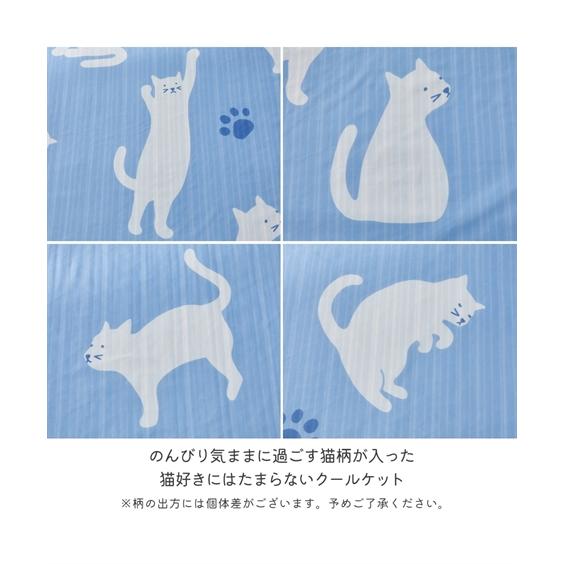 ニッセン（nissen） 接触冷感 × タオル 地クールケット 気ままな猫柄