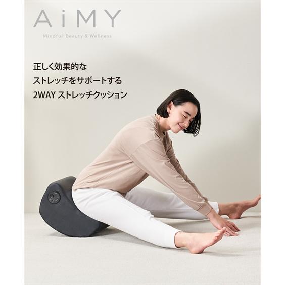 ニッセン（nissen） AiMY エイミー フレックスウェーブ プロ AIM-FN061
