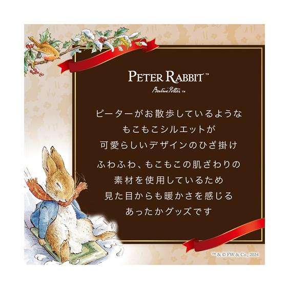 ニッセン（nissen） 【店内全品☆送料無料！10/6 AM9:59まで】毛布