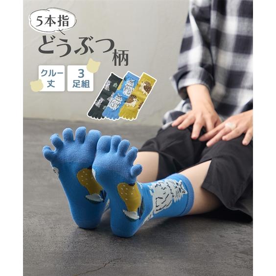 ニッセン（nissen） レディース 動物柄5本指 クルー ソックス 3足組 秋