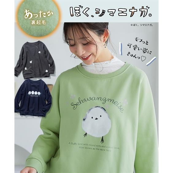 ニッセン（nissen） Tシャツ カットソー レディース ぼく、シマエナガ 