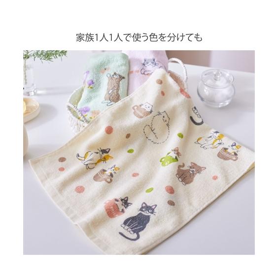 ニッセン（nissen） フェイスタオル にゃんずでいフェイス タオル 5柄