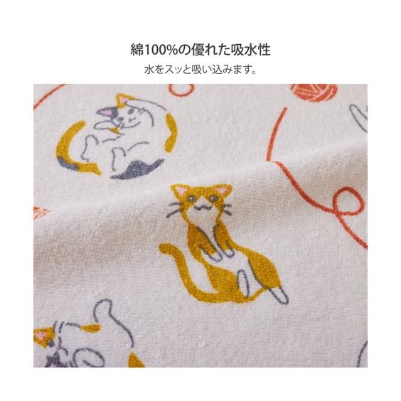 にゃんぱいあ　バスタオル　3枚セット ニッセン（nissen） フェイスタオル にゃんずでいフェイス タオル 5柄