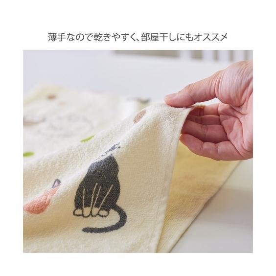 フェイスタオル5枚セット　NA-SUX6 ニッセン（nissen） フェイスタオル にゃんずでいフェイス タオル 5柄