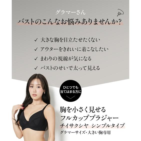 ニッセン（nissen） ブラジャー レディース 大きい胸 胸を小さく見せる