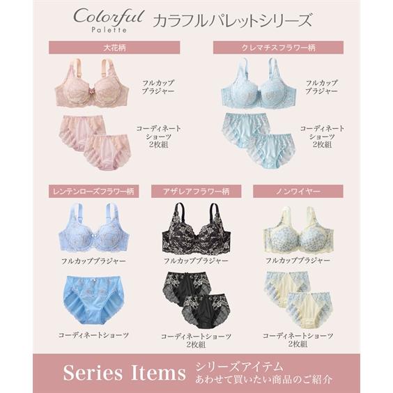 ニッセン（nissen） ショーツ(パンツ) ショーツ レディース カラフル