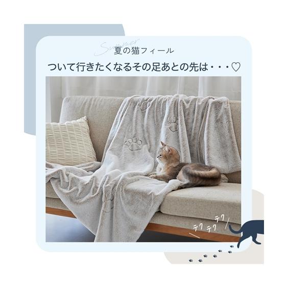 ニッセン（nissen） 猫Feel 毛布 夏用 まるで猫！のような モフモフ
