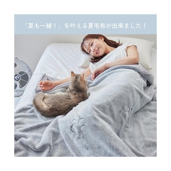 ニッセン（nissen） 布団・寝具 猫Feel 毛布 夏用 猫のような肌触り