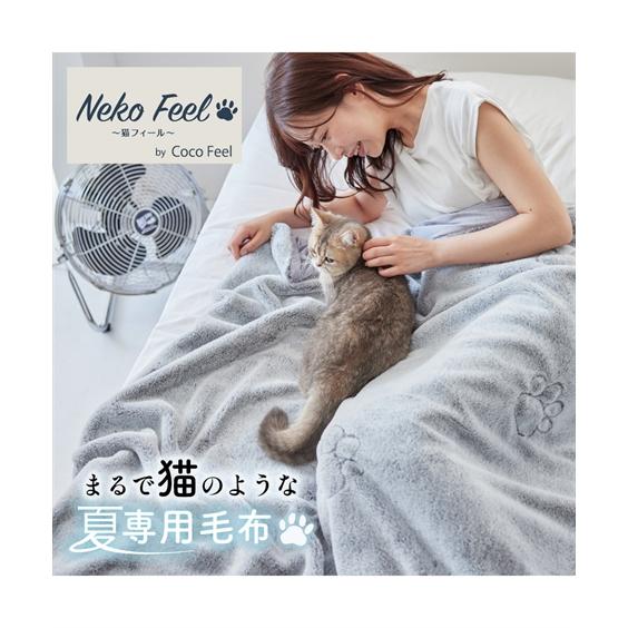 もふもふしてんな～もふンケット！今日はこれで寝よ！ ニッセン（nissen） 猫Feel 毛布 夏用 猫のような肌触り モフモフ