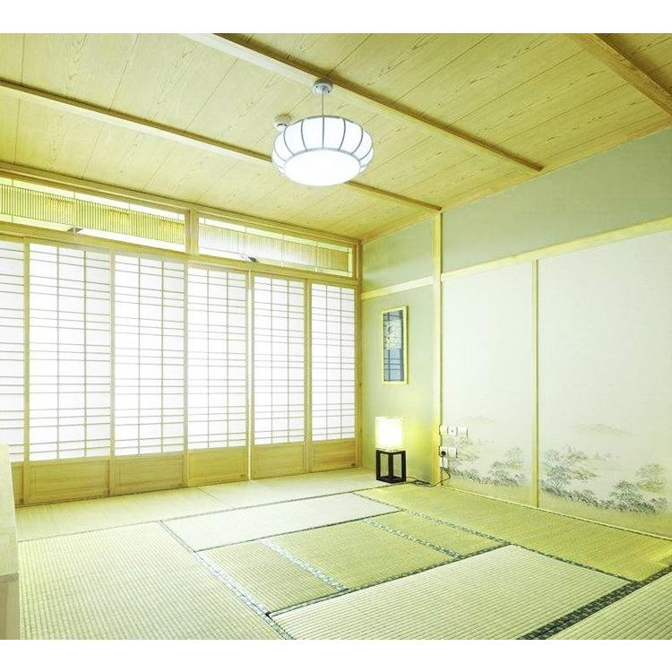 NISSIN LUX led蛍光灯丸型15w形 昼光色 LEDランプ丸形15W型 LED蛍光灯