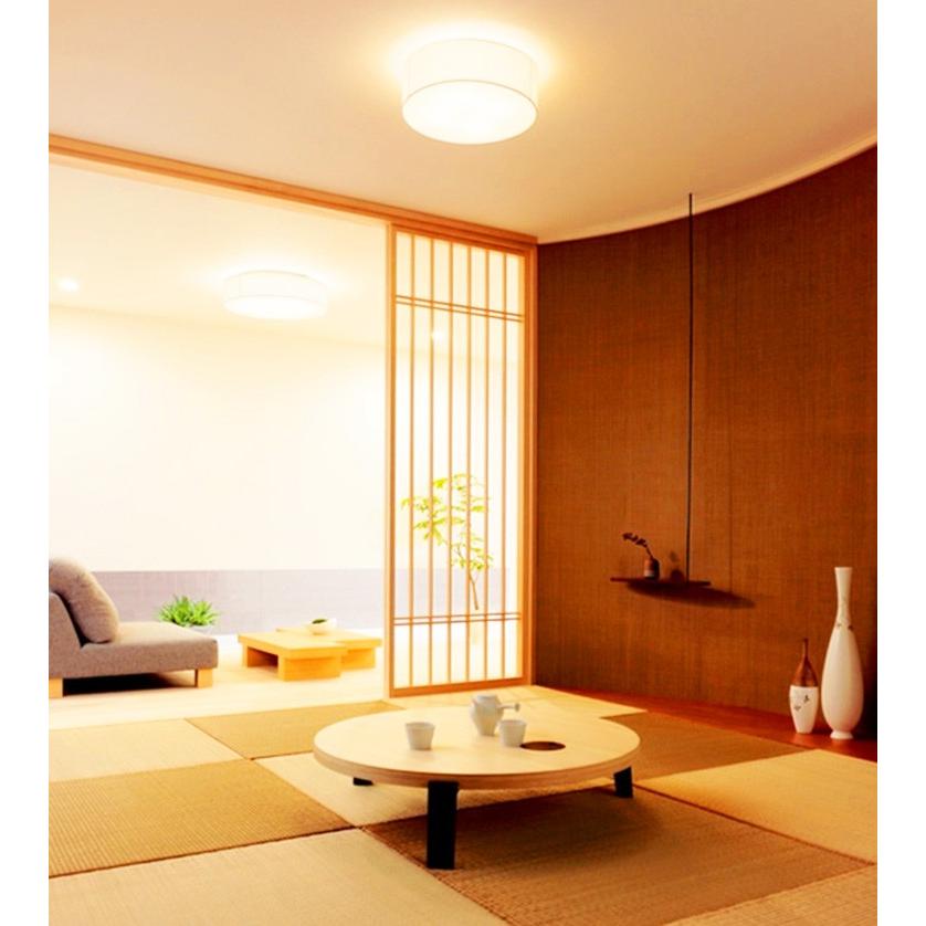 NISSIN LUX led蛍光灯丸型20w形 電球色 LEDランプ丸形20W型 LED NISSIN LUX led蛍光灯丸型20w形 電球色 LEDランプ丸形20W型 LED