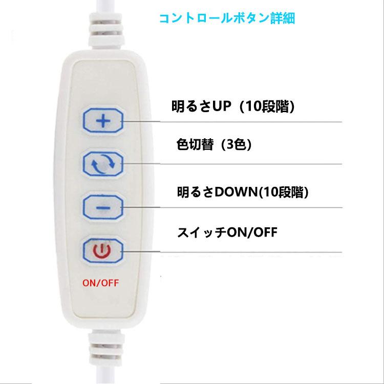 USB LED電球 LED照明 LEDライト 電球形 スイッチ付き キャンプ USB LED電球 LED照明 LEDライト 電球形 スイッチ付き キャンプ