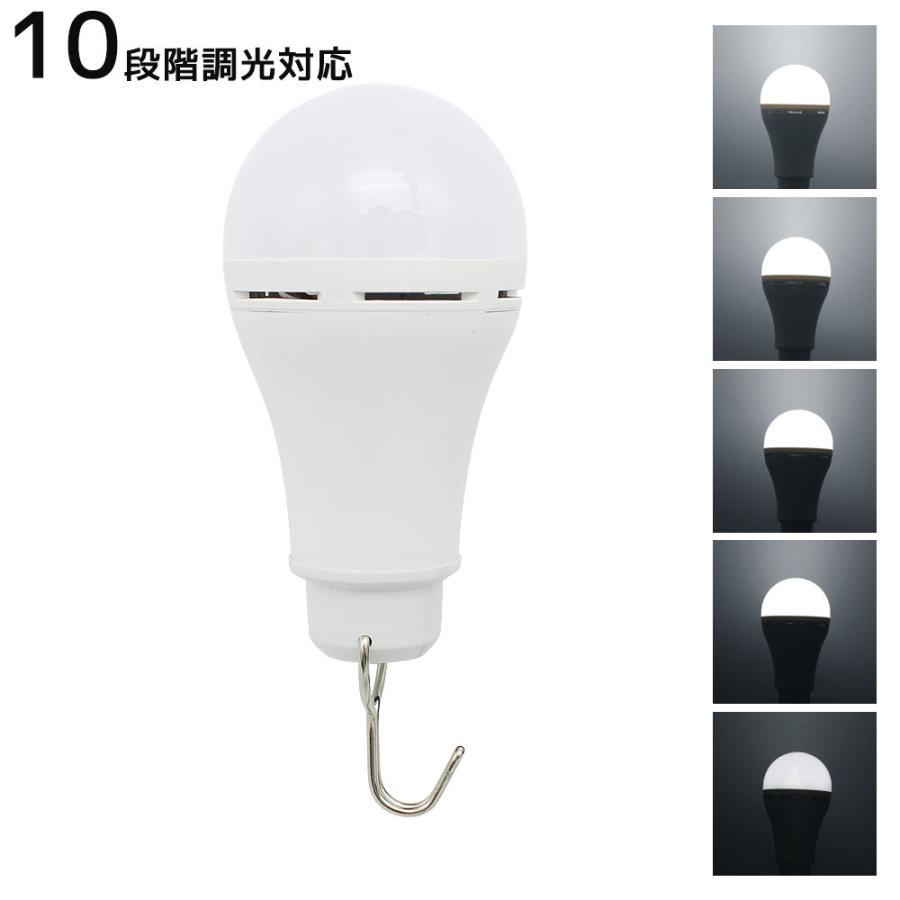 USB LED電球 LED照明 LEDライト 電球形 スイッチ付き キャンプライト