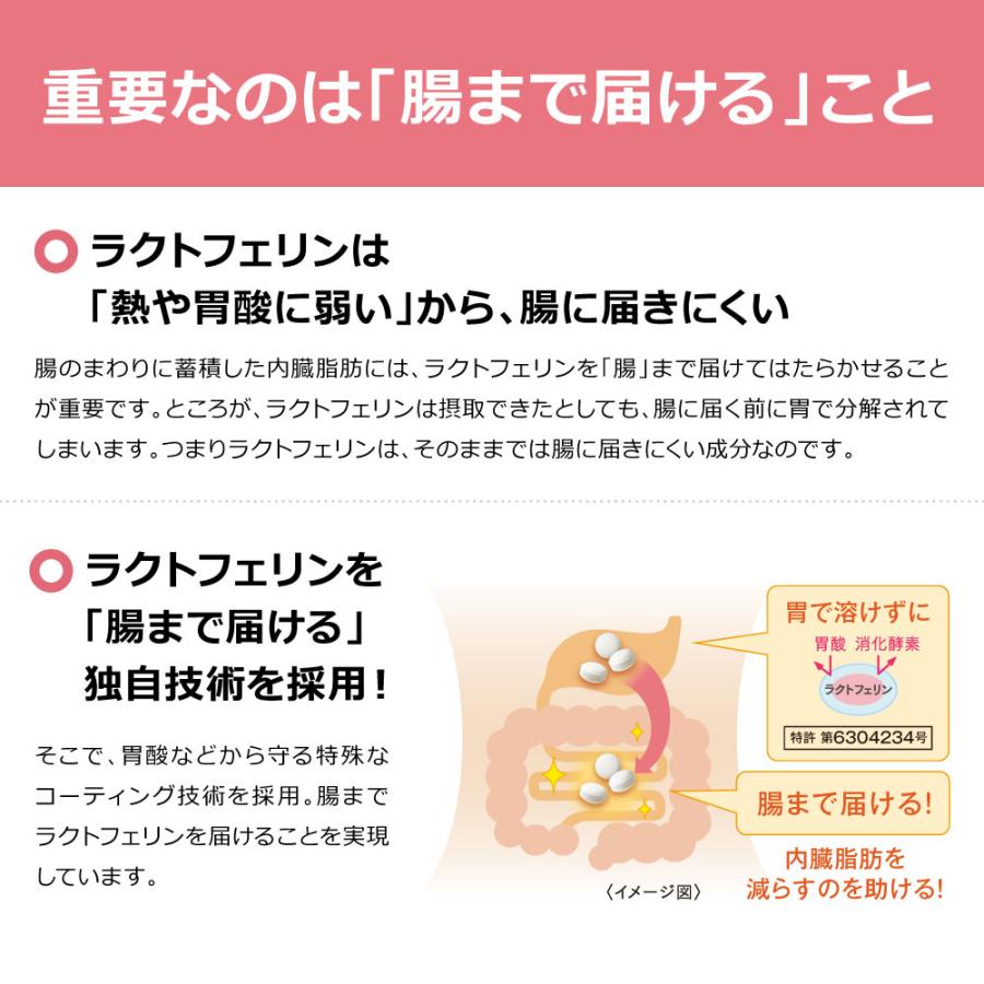 ラクトフェリン サプリ サプリメント ナイスリムエッセンス 93粒入