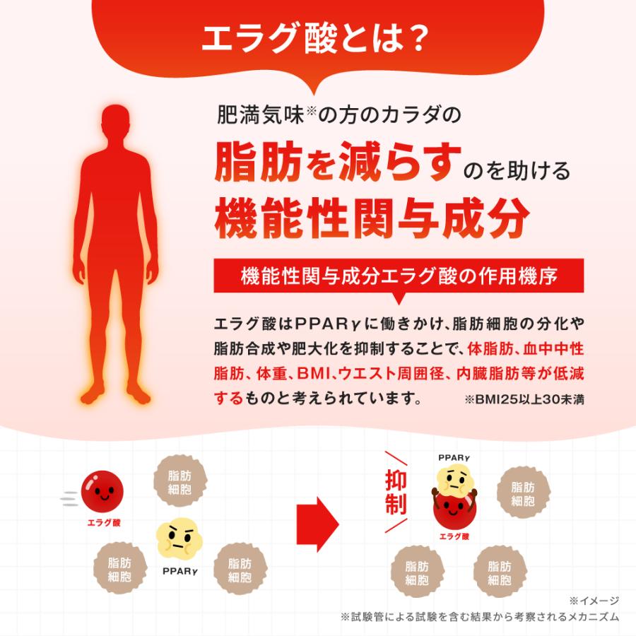 NISSIN ナイシリムサポート エラグ酸のチカラ 62粒　4袋 ナイスリムサポート エラグ酸のチカラ エラグ酸 サプリ サプリメント