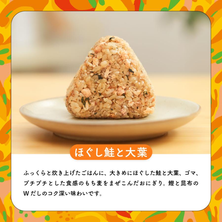 冷凍 完全メシ DELI 定番おにぎりセット 送料込【日清食品公式】おにぎり セット 定番 簡単調理 冷凍食品 おかず たんぱく質 食物繊維_7