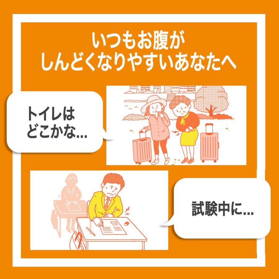 サプリ サプリメント 乳酸菌 ビフィズス菌 タブレット Ｎ708タブレット 30粒入り×3袋セット 機能性表示食品 日清食品公式 お腹の調子_4