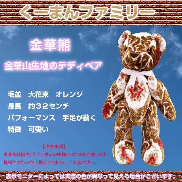 金華山熊 金華山生地テディベア くーまんファミリー 大花束オレンジ