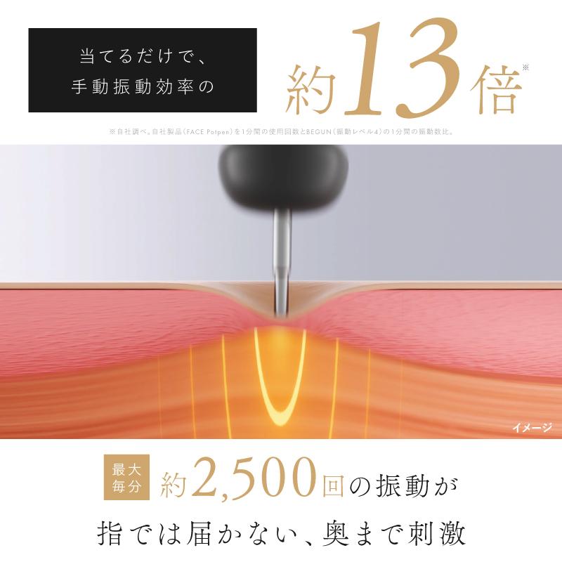 NIPLUX リフトケア特化のマッサージガン BEGUN ビガン 美顔器 フェイス