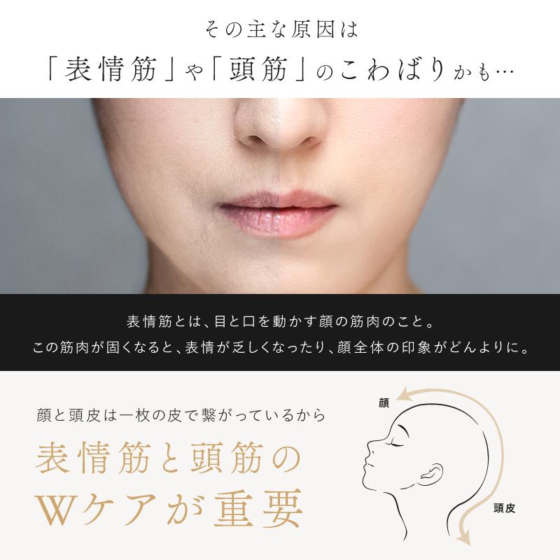NIPLUX リフトケア特化のマッサージガン BEGUN ビガン 美顔器 フェイス